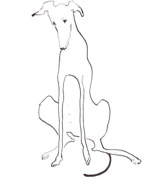 funky dog
